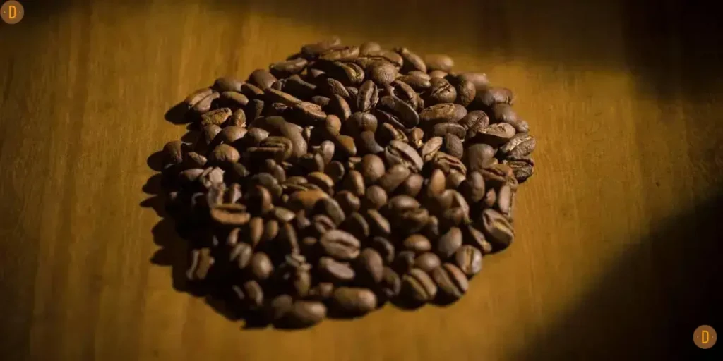 melhor café do mundo