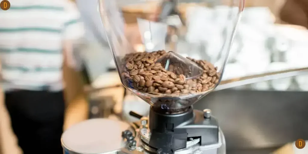 moedor de grão de café