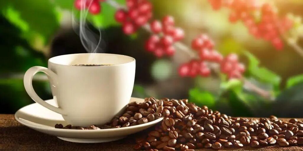 Café da Roça: O Sabor Acolhedor da Vida no Campo
