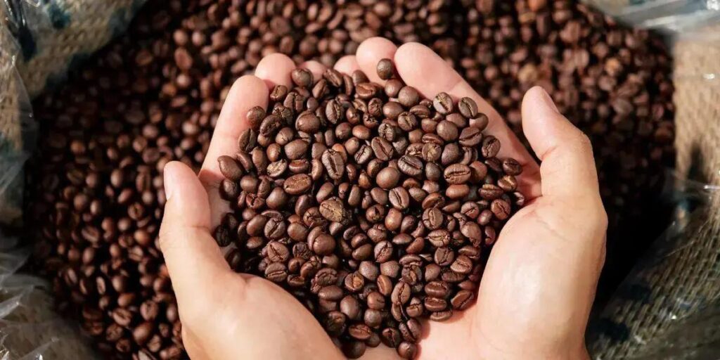 Café Tradicional vs Café Especial: Um Guia para Apreciadores de Sabores
